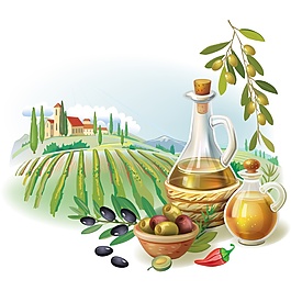 田地橄欖油與鄉村矢量素材