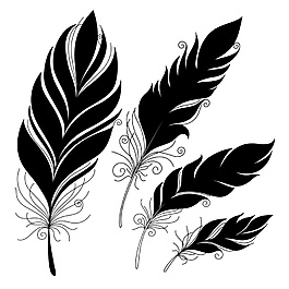 美麗黑白羽毛矢量