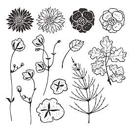 常見(jiàn)花朵手繪素描