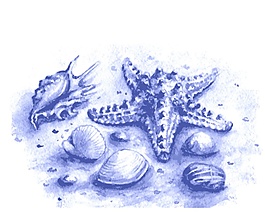 紫色水彩夏日海洋生物元素