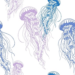 水母夏日海洋生物元素