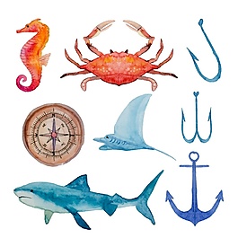 海馬水彩夏日海洋生物元素