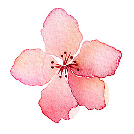 粉色漸變花朵元素