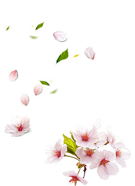 浪漫粉色花朵元素