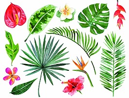 水彩植物花卉矢量素材