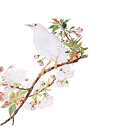 小清新白色花鳥圖元素