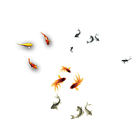 金魚鯉魚水墨金魚元素