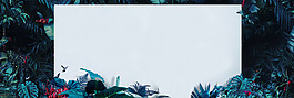 小清新綠葉邊框banner背景