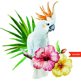 鳥(niǎo)類卡通矢量素材
