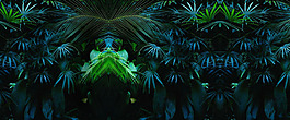 小清新夢幻綠葉banner背景