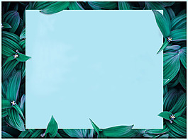 小清新綠葉邊框banner背景