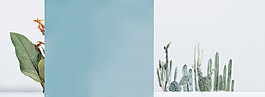 小清新綠葉幾何banner背景