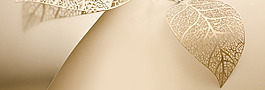 簡(jiǎn)約大氣紋理banner背景