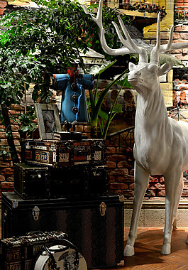 室內(nèi)餐廳效果設(shè)計(jì)圖片