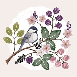 創(chuàng)意清新花鳥(niǎo)矢量背景