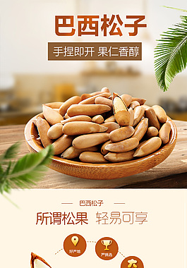 巴西松子堅果詳情