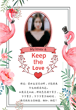 賀卡火焰鳥表白系列