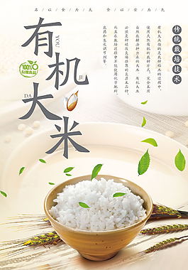 中國風綠色健康有機大米海報設計