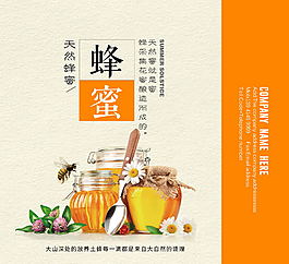 簡(jiǎn)潔大氣手提袋設(shè)計(jì)蜂蜜包裝