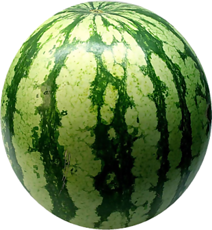 西瓜
