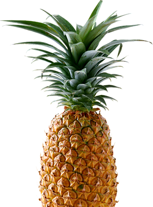 水果菠蘿 png 透明圖片 免摳圖