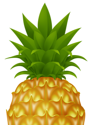 水果 西瓜 png 透明圖片 免摳圖