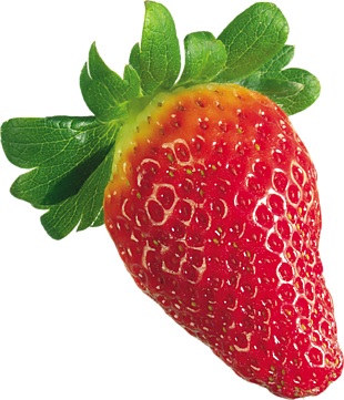 水果 草莓 png 透明圖片 免摳圖