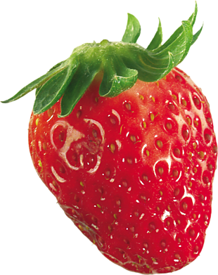水果 草莓 png 透明圖片 免摳圖