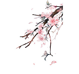 手繪粉色花朵元素