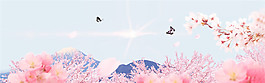 中國風(fēng)時尚電商背景素材