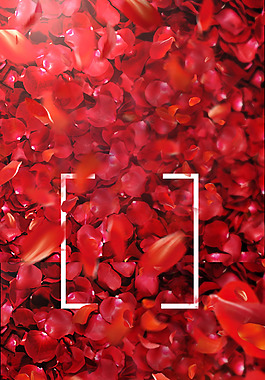 唯美紅色花瓣H5背景素材