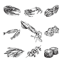 黑白手绘海鲜食材插画