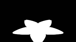 柔和星星變換視頻轉(zhuǎn)場過渡