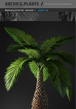 植物盆景模型