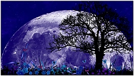 夢幻夜晚月亮視頻素材