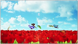 浪漫花海蝴蝶視頻素材