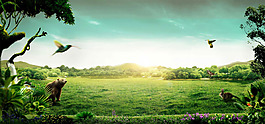 唯美綠色花鳥風(fēng)景banner背景
