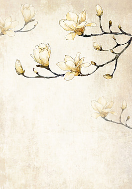 手绘白色玉兰花H5背景素材