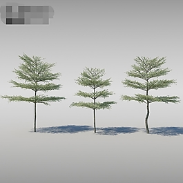 3d樹(shù)木模型