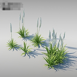 3d蒲棒模型