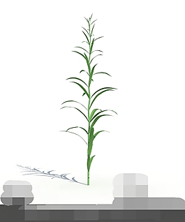 3d小草模型圖