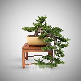 經(jīng)典高端中式風(fēng)格盆景素材