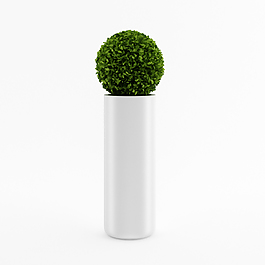 时尚球体植物3D模型