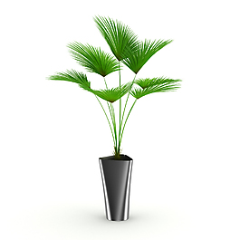 客廳植物盆栽3D模型