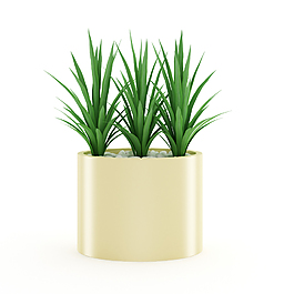 室內(nèi)花草盆栽3D模型