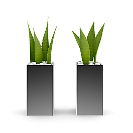 室內綠色盆景3D模型