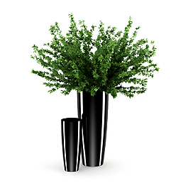 3d高精度室內(nèi)植物花草效果圖