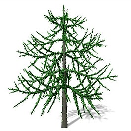 超好看的植物3D模型