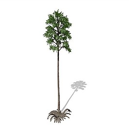 小區(qū)綠化植物3D模型