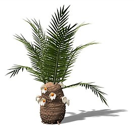 花草盆栽素材3D模型
